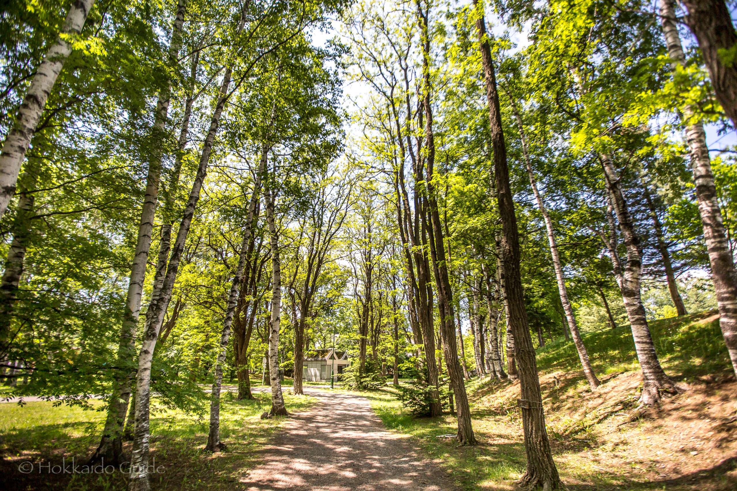 🏞️ 미도리가오카 공원 (미도리가오카 코엔) 이미지 12